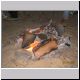 Beach House - Easter 2007 - Fire.jpg
